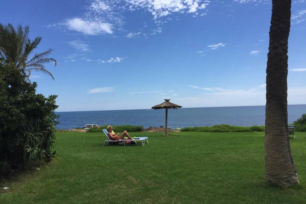 Sonnige Wohnung Direkt Am Meer Torrevieja Exteriér fotografie