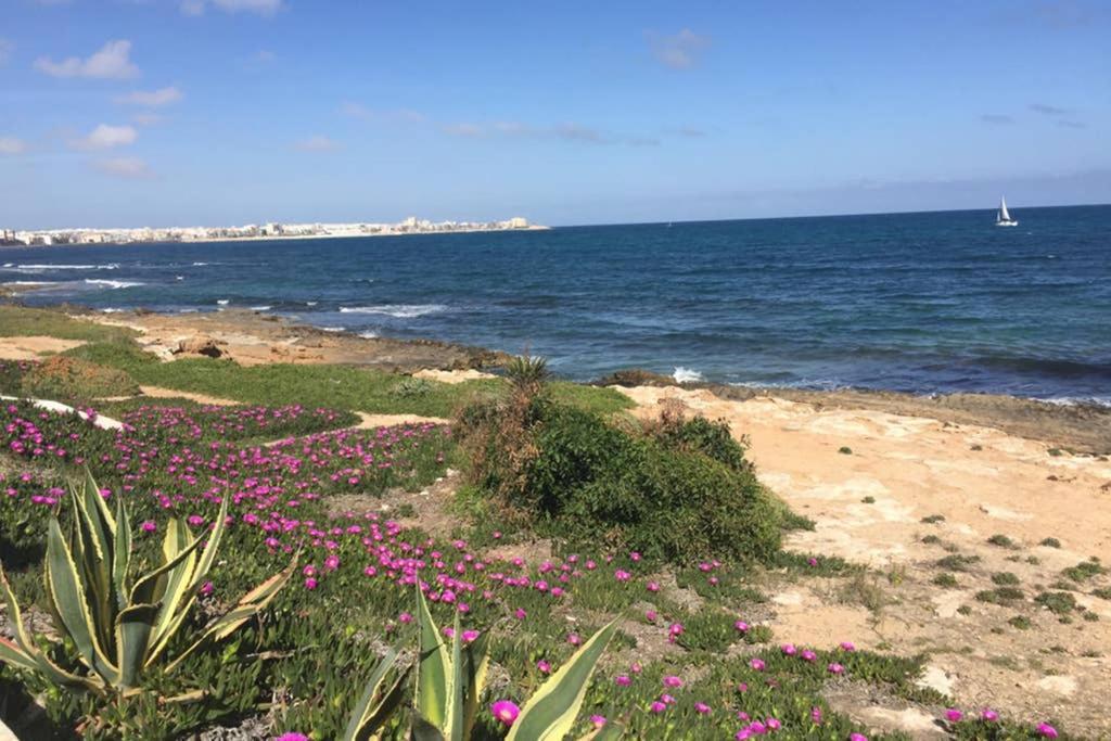 Sonnige Wohnung Direkt Am Meer Torrevieja Exteriér fotografie